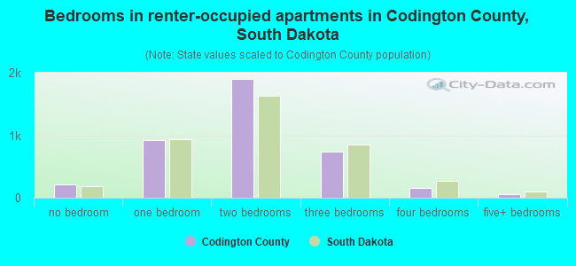 Bedrooms in renter-occupied apartments in Codington County, South Dakota