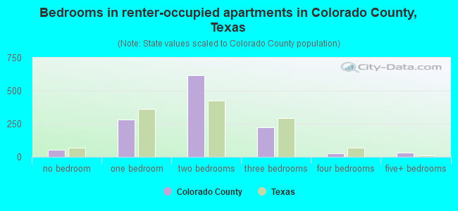 Bedrooms in renter-occupied apartments in Colorado County, Texas