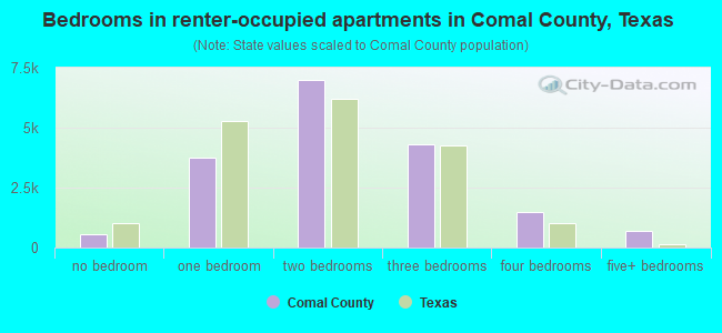 Bedrooms in renter-occupied apartments in Comal County, Texas