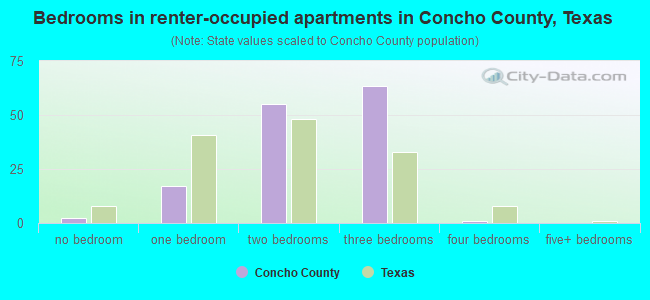 Bedrooms in renter-occupied apartments in Concho County, Texas