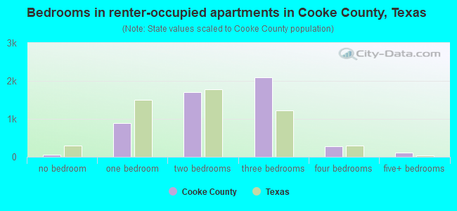 Bedrooms in renter-occupied apartments in Cooke County, Texas