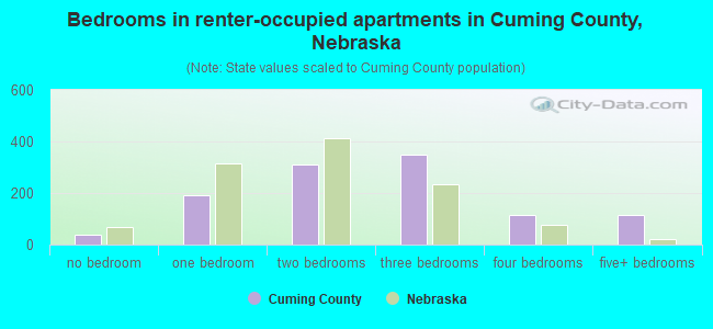 Bedrooms in renter-occupied apartments in Cuming County, Nebraska