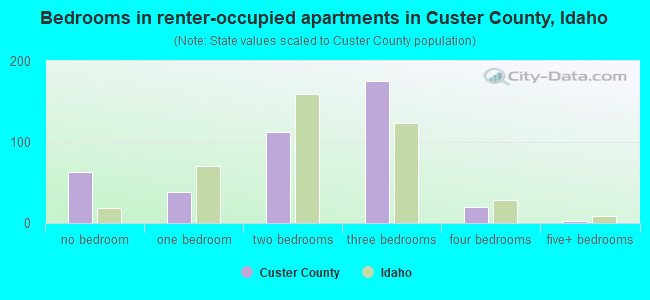 Bedrooms in renter-occupied apartments in Custer County, Idaho