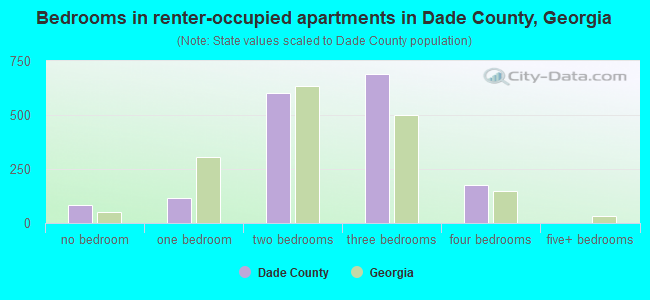 Bedrooms in renter-occupied apartments in Dade County, Georgia