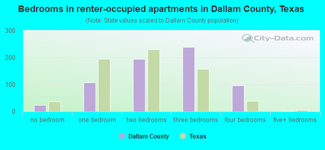 Bedrooms in renter-occupied apartments in Dallam County, Texas