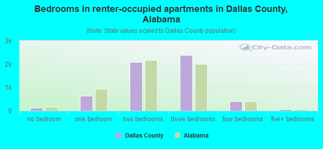 Bedrooms in renter-occupied apartments in Dallas County, Alabama