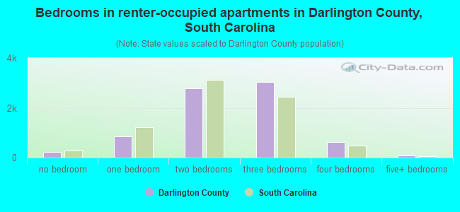 Bedrooms in renter-occupied apartments in Darlington County, South Carolina