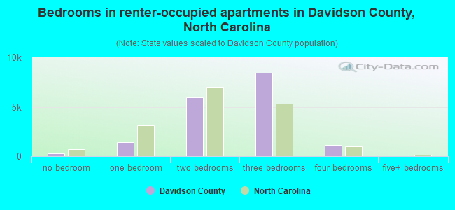 Bedrooms in renter-occupied apartments in Davidson County, North Carolina