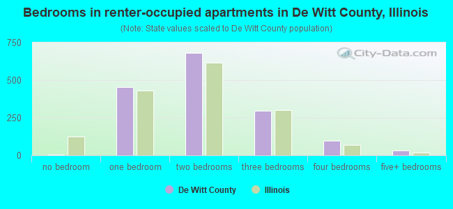 Bedrooms in renter-occupied apartments in De Witt County, Illinois