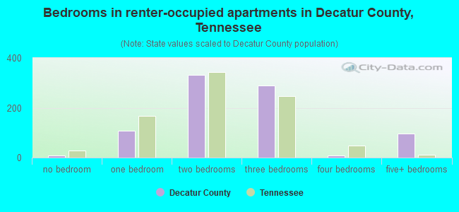 Bedrooms in renter-occupied apartments in Decatur County, Tennessee