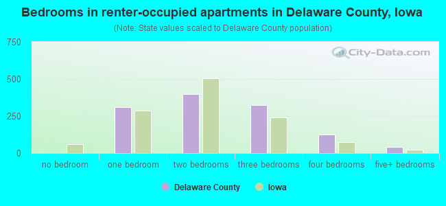 Bedrooms in renter-occupied apartments in Delaware County, Iowa