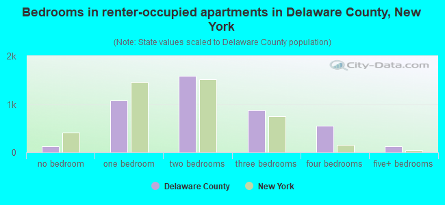 Bedrooms in renter-occupied apartments in Delaware County, New York