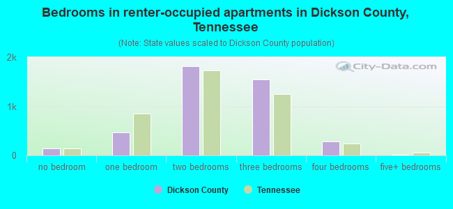 Bedrooms in renter-occupied apartments in Dickson County, Tennessee