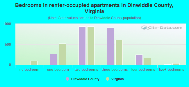 Bedrooms in renter-occupied apartments in Dinwiddie County, Virginia