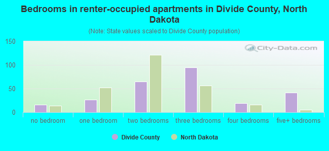 Bedrooms in renter-occupied apartments in Divide County, North Dakota