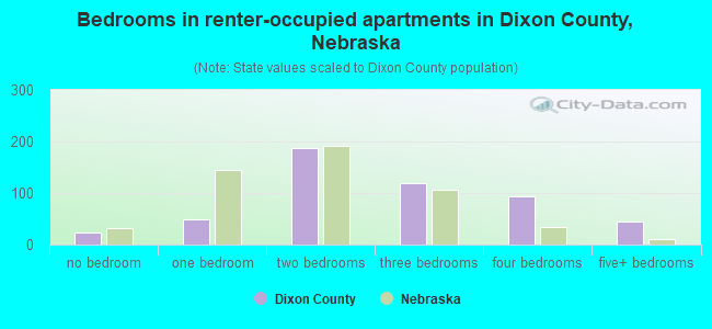 Bedrooms in renter-occupied apartments in Dixon County, Nebraska