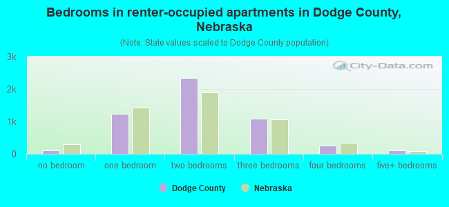Bedrooms in renter-occupied apartments in Dodge County, Nebraska