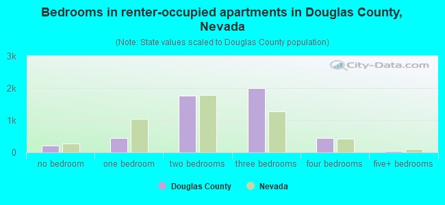 Bedrooms in renter-occupied apartments in Douglas County, Nevada
