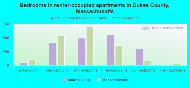 Bedrooms in renter-occupied apartments in Dukes County, Massachusetts