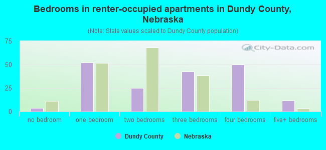Bedrooms in renter-occupied apartments in Dundy County, Nebraska