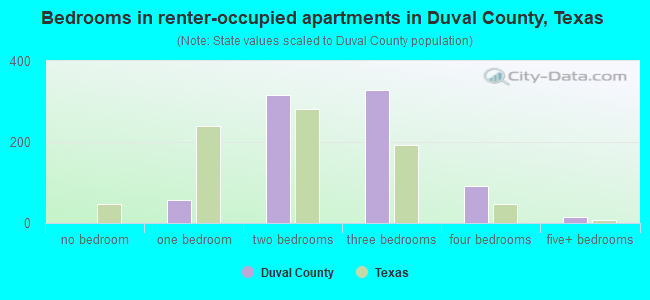 Bedrooms in renter-occupied apartments in Duval County, Texas