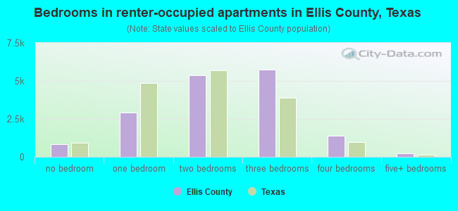 Bedrooms in renter-occupied apartments in Ellis County, Texas