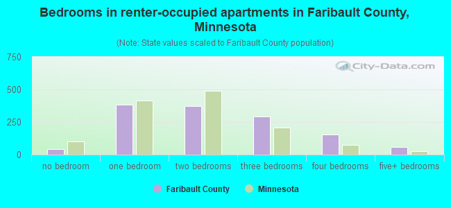 Bedrooms in renter-occupied apartments in Faribault County, Minnesota