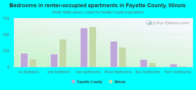 Bedrooms in renter-occupied apartments in Fayette County, Illinois