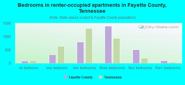 Bedrooms in renter-occupied apartments in Fayette County, Tennessee