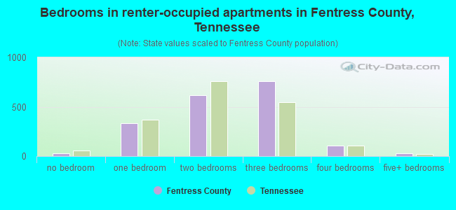 Bedrooms in renter-occupied apartments in Fentress County, Tennessee