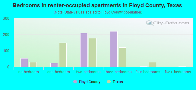 Bedrooms in renter-occupied apartments in Floyd County, Texas