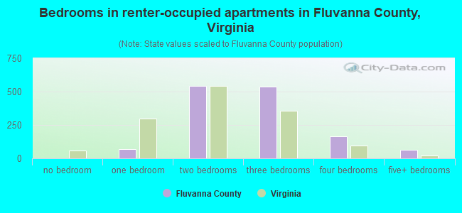 Bedrooms in renter-occupied apartments in Fluvanna County, Virginia