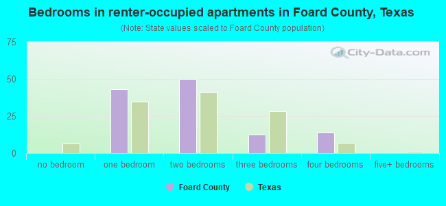 Bedrooms in renter-occupied apartments in Foard County, Texas