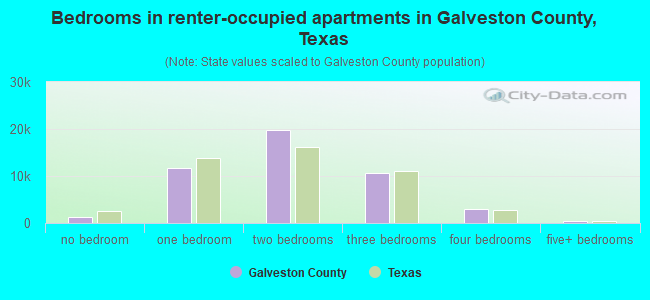 Bedrooms in renter-occupied apartments in Galveston County, Texas
