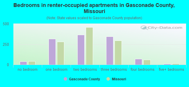Bedrooms in renter-occupied apartments in Gasconade County, Missouri