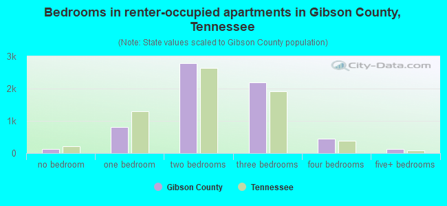 Bedrooms in renter-occupied apartments in Gibson County, Tennessee
