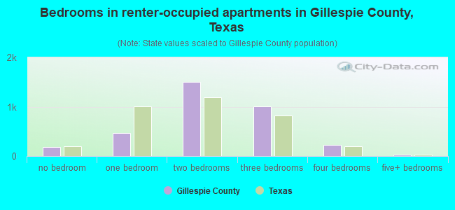 Bedrooms in renter-occupied apartments in Gillespie County, Texas