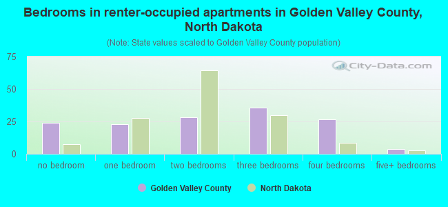 Bedrooms in renter-occupied apartments in Golden Valley County, North Dakota