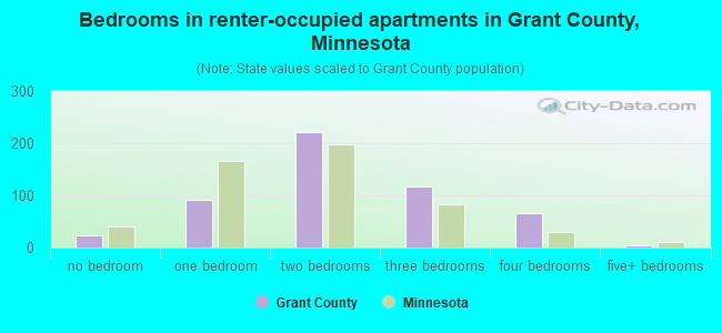 Bedrooms in renter-occupied apartments in Grant County, Minnesota