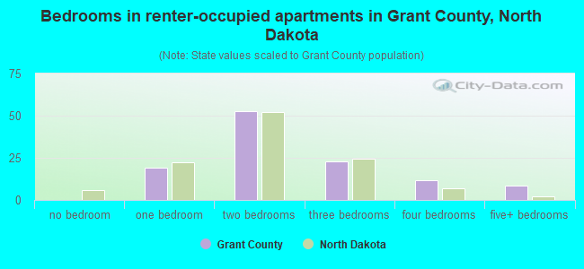 Bedrooms in renter-occupied apartments in Grant County, North Dakota