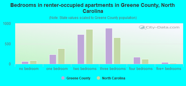 Bedrooms in renter-occupied apartments in Greene County, North Carolina
