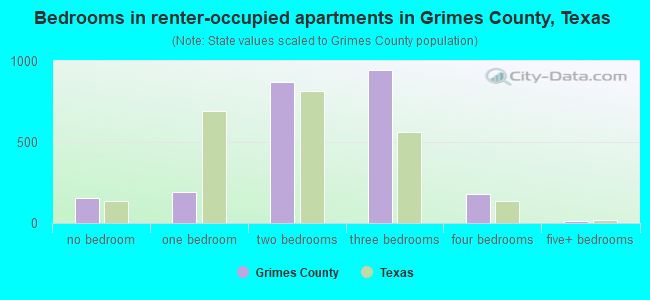 Bedrooms in renter-occupied apartments in Grimes County, Texas