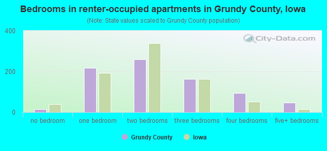 Bedrooms in renter-occupied apartments in Grundy County, Iowa