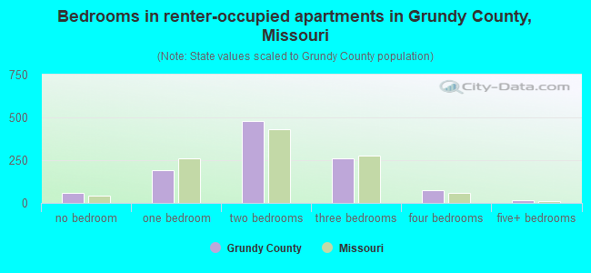 Bedrooms in renter-occupied apartments in Grundy County, Missouri