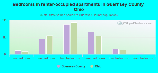 Bedrooms in renter-occupied apartments in Guernsey County, Ohio