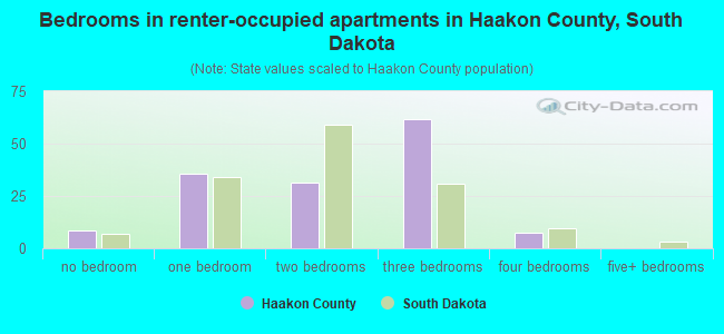 Bedrooms in renter-occupied apartments in Haakon County, South Dakota