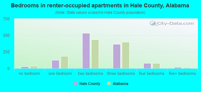 Bedrooms in renter-occupied apartments in Hale County, Alabama