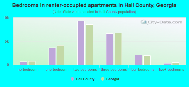 Bedrooms in renter-occupied apartments in Hall County, Georgia