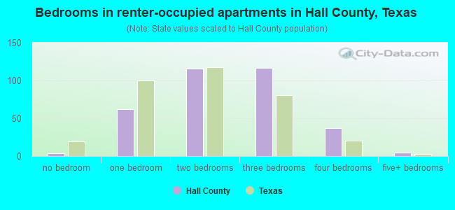 Bedrooms in renter-occupied apartments in Hall County, Texas
