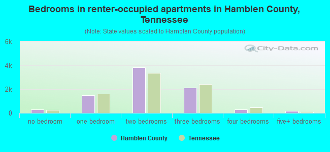 Bedrooms in renter-occupied apartments in Hamblen County, Tennessee